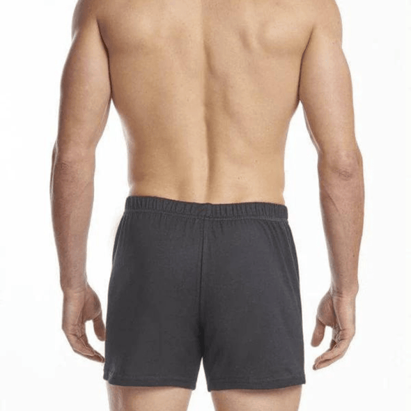 Stanfield's Premium 100% Cotton Boxer Shorts -  2589 - Multi Colours
