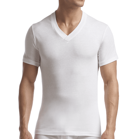Stanfield's Supreme V-Neck T-Shirt 2-Pack - 6750